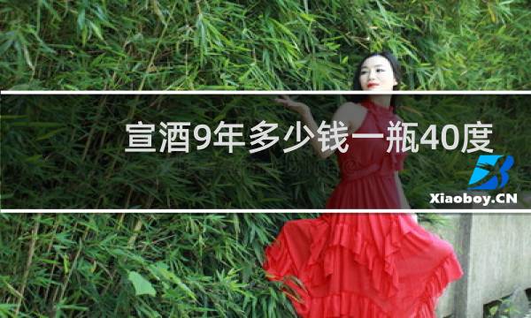 宣酒9年多少钱一瓶40度