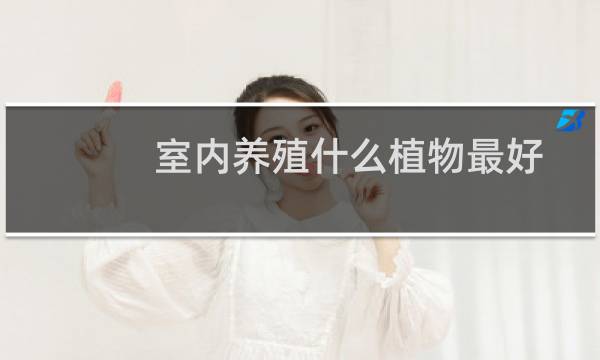室内养殖什么植物最好