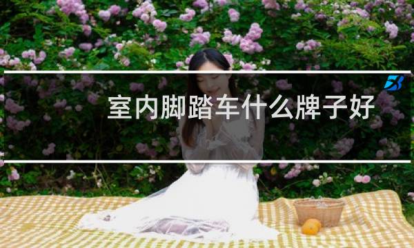 室内脚踏车什么牌子好