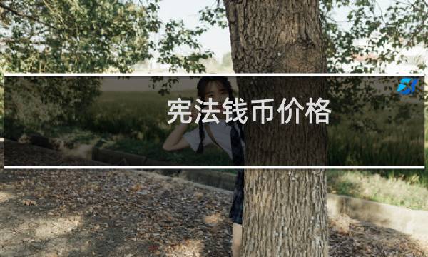 宪法钱币价格