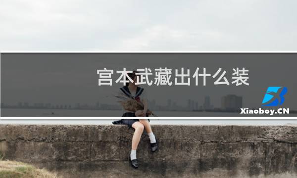 宫本武藏出什么装