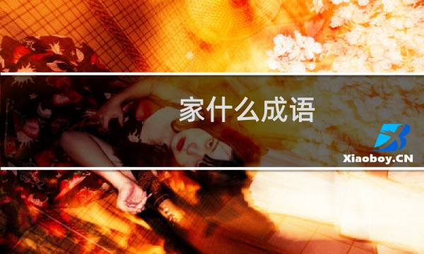 家什么成语
