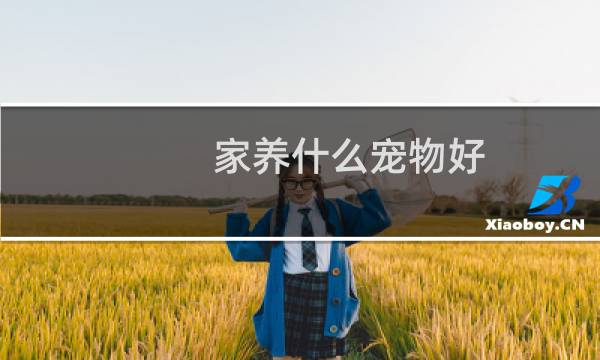 家养什么宠物好