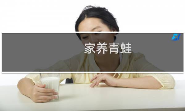 家養(yǎng)青蛙