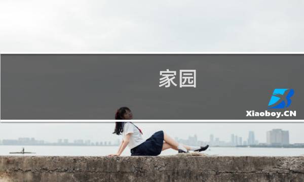 家园 手游 攻略