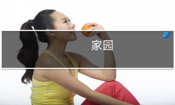 家园 攻略
