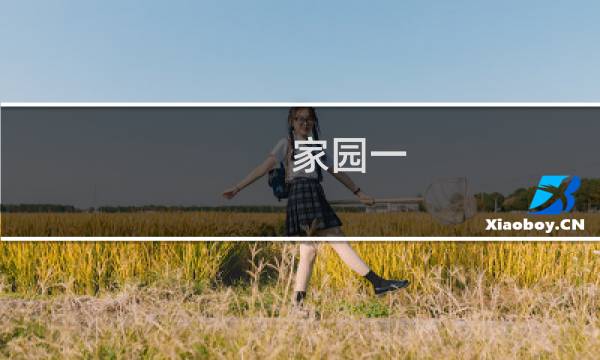 家园一 攻略