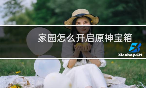 家园怎么开启原神宝箱