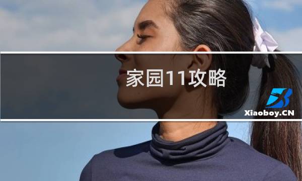 家园11攻略