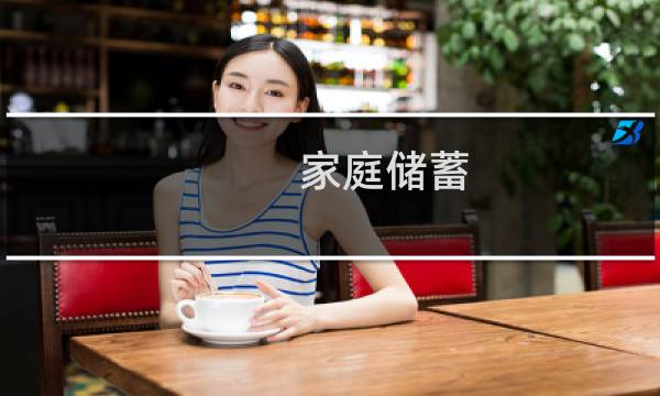 家庭储蓄