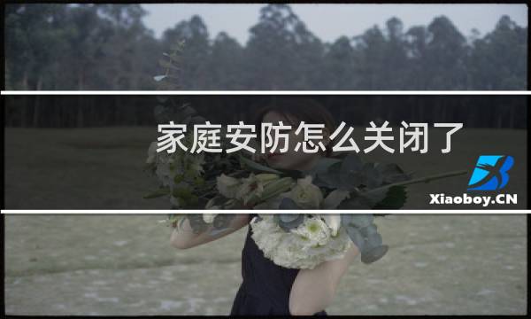 家庭安防怎么关闭了