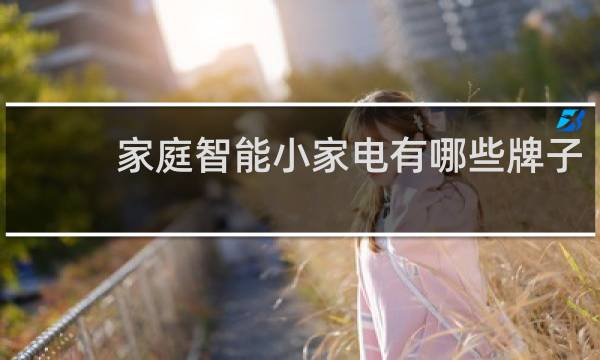 家庭智能小家电有哪些牌子