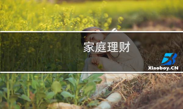 家庭理财 收入最大
