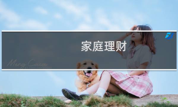 家庭理财 比例怎么算的