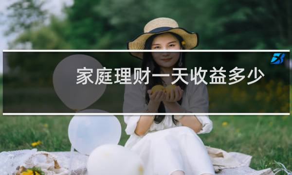家庭理财一天收益多少