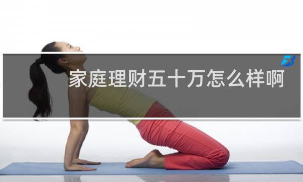 家庭理财五十万怎么样啊