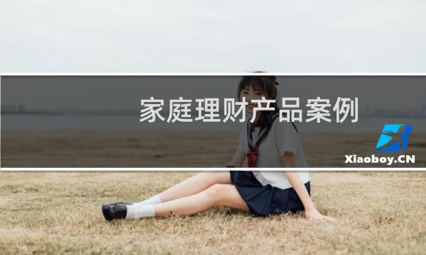 家庭理财产品案例