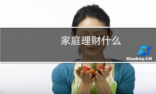 家庭理财什么