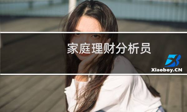 家庭理财分析员