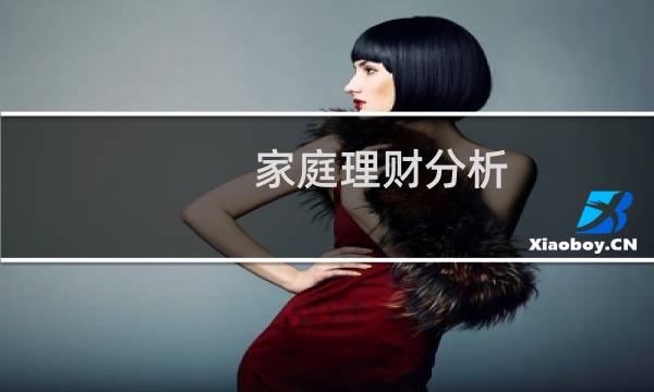 家庭理财分析