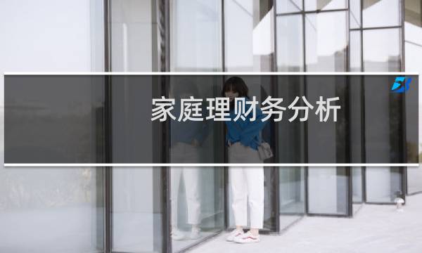 家庭理财务分析