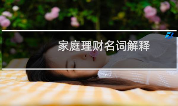 家庭理财名词解释
