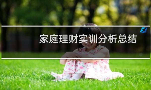 家庭理财实训分析总结