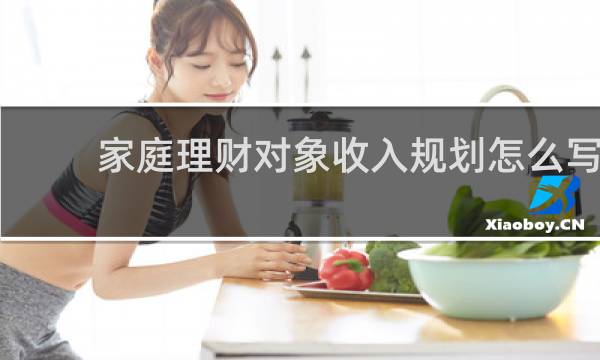 家庭理财对象收入规划怎么写