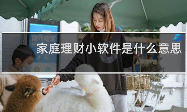 家庭理财小软件是什么意思