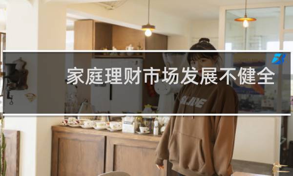 家庭理财市场发展不健全