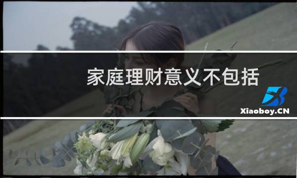 家庭理财意义不包括