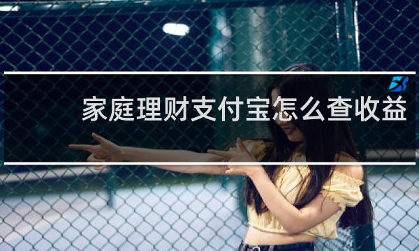 家庭理财支付宝怎么查收益