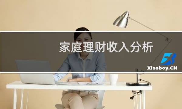 家庭理财收入分析