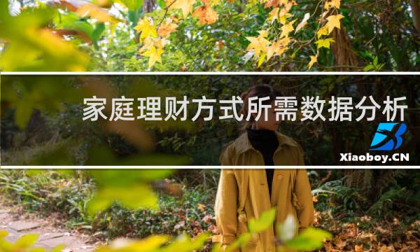 家庭理财方式所需数据分析