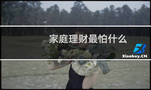 家庭理财最怕什么