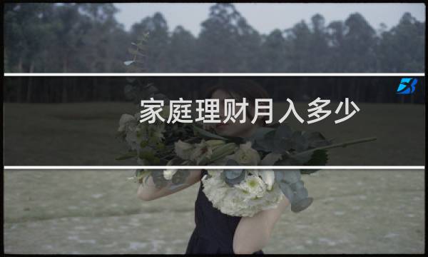 家庭理财月入多少