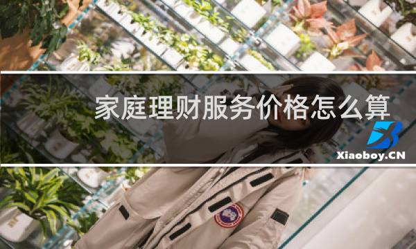 家庭理财服务价格怎么算