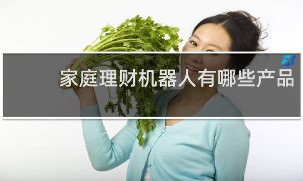 家庭理财机器人有哪些产品