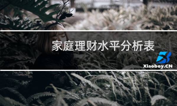 家庭理财水平分析表