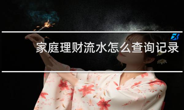 家庭理财流水怎么查询记录