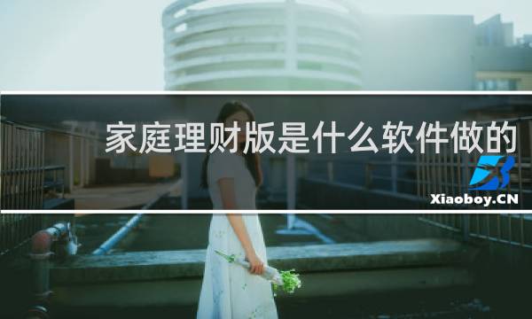 家庭理财版是什么软件做的