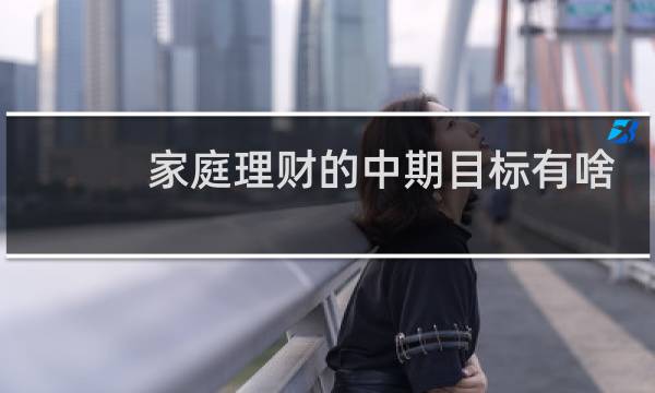 家庭理财的中期目标有啥