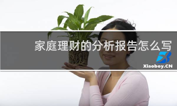 家庭理财的分析报告怎么写
