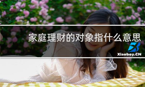 家庭理财的对象指什么意思