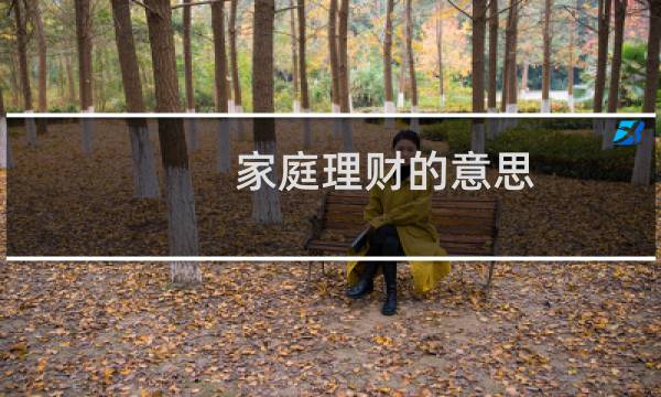 家庭理财的意思