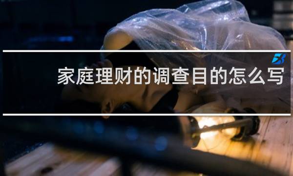家庭理财的调查目的怎么写
