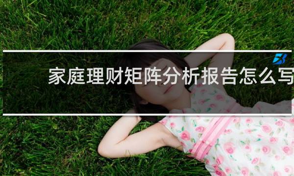 家庭理财矩阵分析报告怎么写