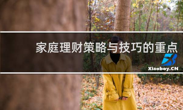 家庭理财策略与技巧的重点