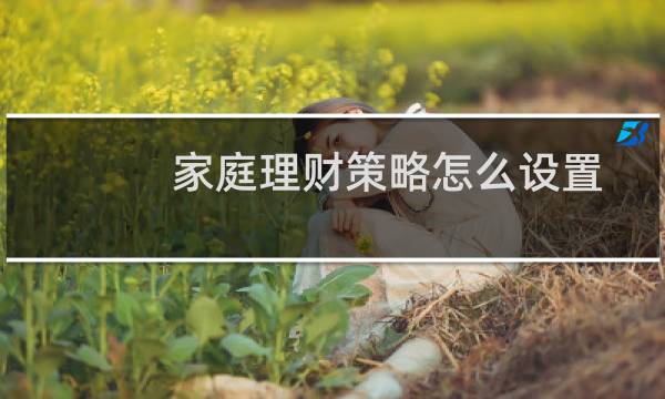 家庭理财策略怎么设置
