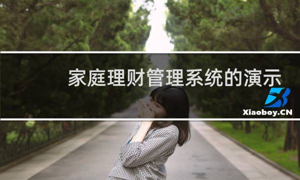 家庭理财管理系统的演示